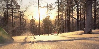 慢动作雪鞋和奔跑在新鲜的雪在森林在金色的日落