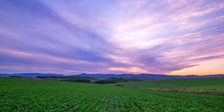 高清时间流逝:北山景观日落，北，北海道，日本