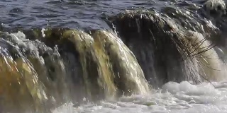 飞鱼在拉脱维亚库尔迪加欧洲最宽的瀑布。河项目。