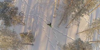 在森林深处，徒步旅行者穿着雪鞋在新雪中穿行