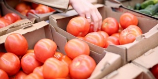 一位妇女在超市买西红柿。高清