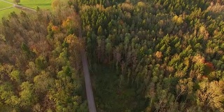天线:秋天巴伐利亚森林里的小路