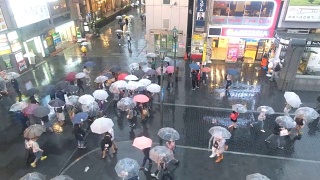 日本大阪道顿堀大街上，一群打着伞的人在下雨视频素材模板下载