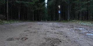 森林道路视频
