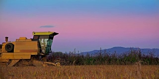 农业联合收割机。小麦、水稻、黑麦丰收。农业机械侧视图。索尼4 k拍摄
