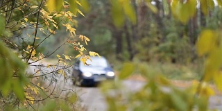 汽车穿过森林道路。