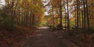 弗吉尼亚的秋天之旅