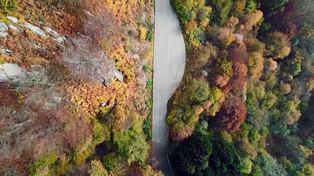 空中鸟瞰图的道路在多彩的乡村秋天的森林。秋天有橙、绿、黄、红的树林。山区街道道路的建立。4k无人机飞行直线下降建立拍摄