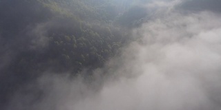 景观模糊全景。梦幻般的日出在岩石山与视野到雾气蒙蒙的山谷下面。福雷斯特上空雾蒙蒙的云。观赏下面的仙景。多雾的森林山。从以上观点。
