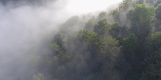 景观模糊全景。梦幻般的日出在岩石山与视野到雾气蒙蒙的山谷下面。福雷斯特上空雾蒙蒙的云。观赏下面的仙景。多雾的森林山。从以上观点。