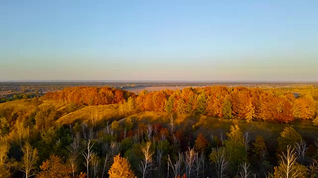 鸟瞰图:飞越秋天的森林。