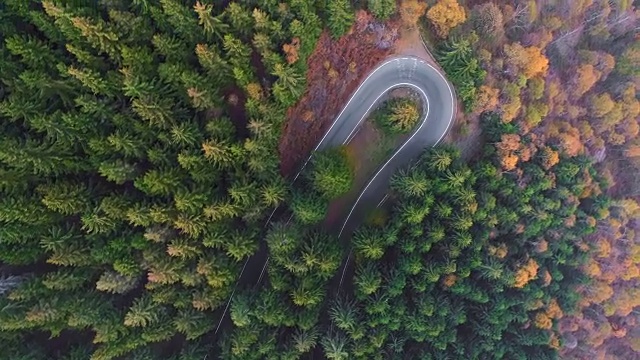 空中鸟瞰汽车行驶在农村秋天森林的发夹弯转弯道路上。秋橙、绿、黄的松林。雾街路径建立。4k无人机垂直飞行