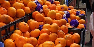 女人挑选橘子水果，在街头市场买。人们在市场上买新鲜的橙子。超高清索尼4K拍摄
