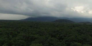 巴西热带雨林鸟瞰图