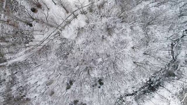 空中无人机飞行建立在雪山森林上空。冬天的雪在野外的山中自然。直接透视旅行探索阿尔卑斯山。4k俯视图视频