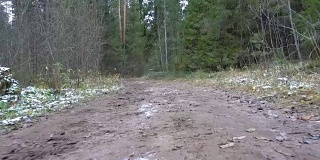 在森林里拍摄冰冻的泥土