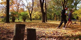 跑步者在秋日里一起慢跑，在公园里锻炼