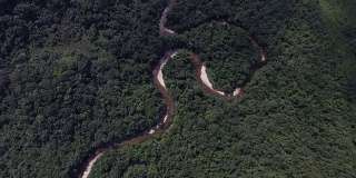 航空拍摄的亚马逊雨林在巴西，南美