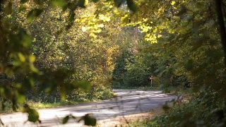 跨界车沿着森林道路行驶。视频素材模板下载