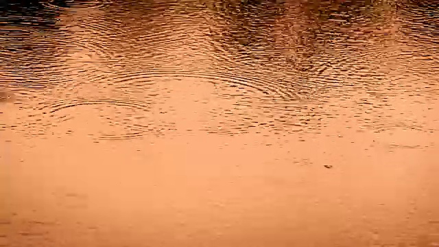 在雨季，近距离观察雨水滴落在河面上的金黄色调，4K Dci分辨率