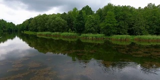 夏日的湖面和绿色的森林，朵朵白云笼罩着波兰蔚蓝的天空。