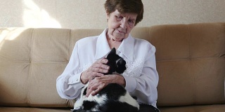 老婆婆抚摸着小猫，奶奶玩着小猫，4k。