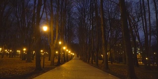 公园里秋天的夜巷