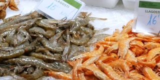 海鲜市场上的冰拉博克里亚在巴塞罗那，西班牙关闭。西班牙巴塞罗纳的博克利亚冰鱼市场上的海鲜螃蟹龙虾鱿鱼虾小龙虾牡蛎贻贝贝壳