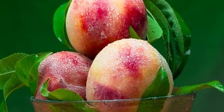 收获桃子的季节