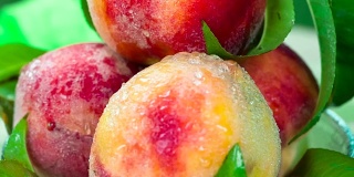 新丰收的开胃桃子