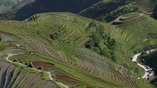 中国桂林龙胜的龙脊梯田