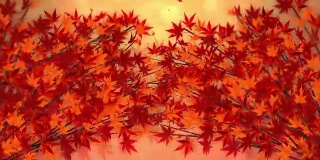 秋叶枫，树枝，美丽的自然秋景，