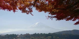 秋天富士山的红枫