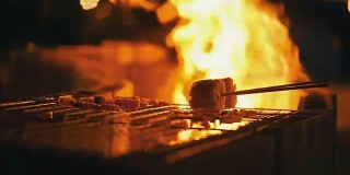 烤鸡串，烧烤，一群人花时间在篝火上烧烤