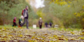 退休的人们北欧漫步在秋天的公园森林。北欧步行是一种有特殊设计杆的健身步行。促进健康的体育活动。脚踩在秋叶上。秋天的城市森林公园，落在地上的枫叶