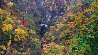 日本秋雨连绵，火车从鸣子峡谷隧道冲出的4K画面视频素材模板下载