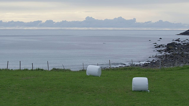 在挪威罗浮敦群岛拍摄的以海洋为背景的绿色田野。
