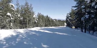 个人视角的滑雪者在美丽的松树雪道中滑雪