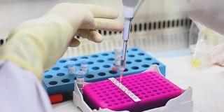 PCR技术的研究