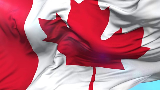加拿大国旗迎风飘扬，盘旋