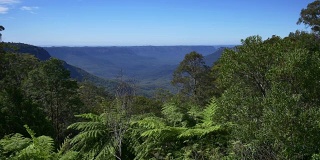 澳大利亚新南威尔士州蓝山