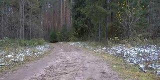 森林里结冰的肮脏小径的录像
