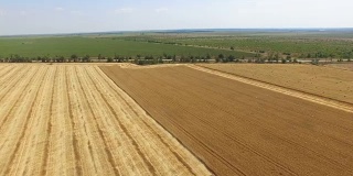 天线:收获季节的农田