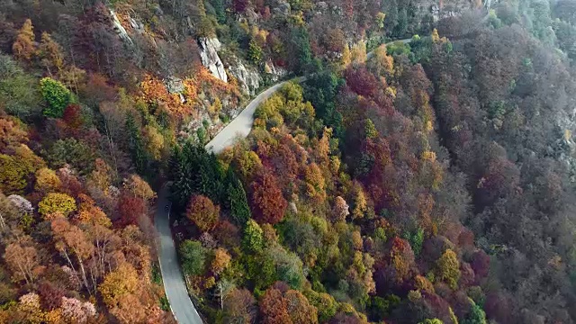向前鸟瞰摩托车在彩色的秋天森林的道路上旅行。秋天有橙、绿、黄、红的树林。山雾街道路径建立。4k无人机飞行建立商店