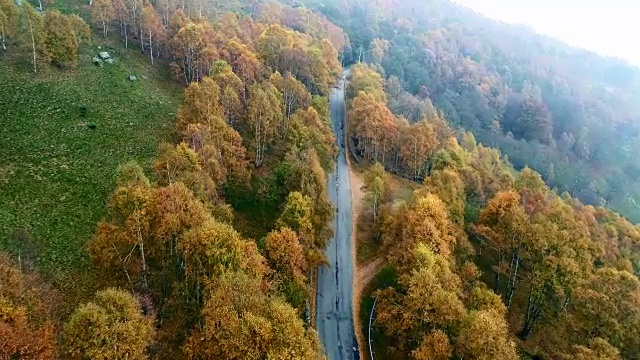 向前空中俯瞰道路在多彩的乡村秋天森林。秋天有橙、绿、黄、红的树林。山区街道道路的建立。4k无人机飞行直线下降建立拍摄