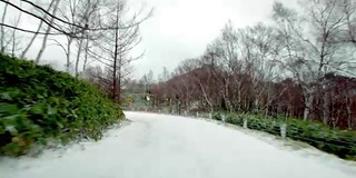 视频驾驶冬天的雪路。横田山附近志贺高原292号公路。