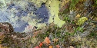秋季，空中俯瞰湿地和色彩斑斓的森林