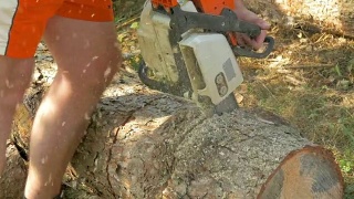 伐木工人正在砍树干视频素材模板下载