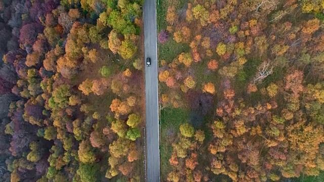 空中鸟瞰汽车行驶在五彩缤纷的秋天森林道路上。秋天有橙、绿、黄、红的树林。山区街道道路的建立。4k无人机飞行直线下降建立拍摄