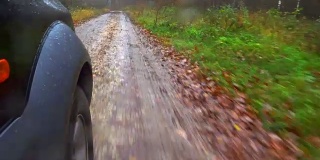 在秋雨的森林里开车